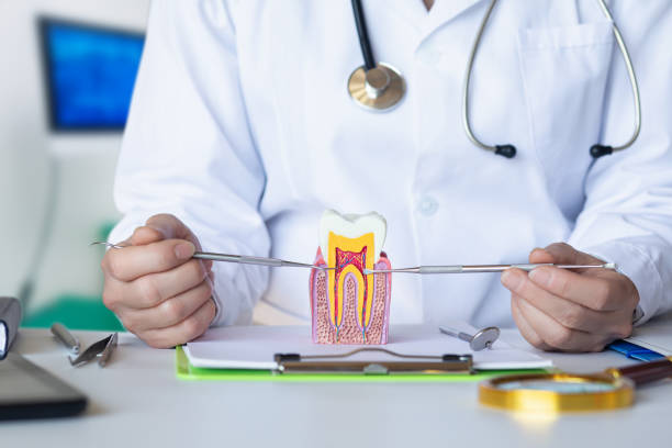 Best Emergency Cosmetic Dentistry in Silver Lake, NC